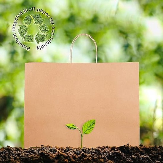 Bruin kraftpapier draagtas 21x14x27.5cm