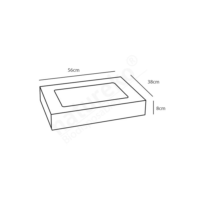 Kraft cateringdoos met PLA venster（10st)